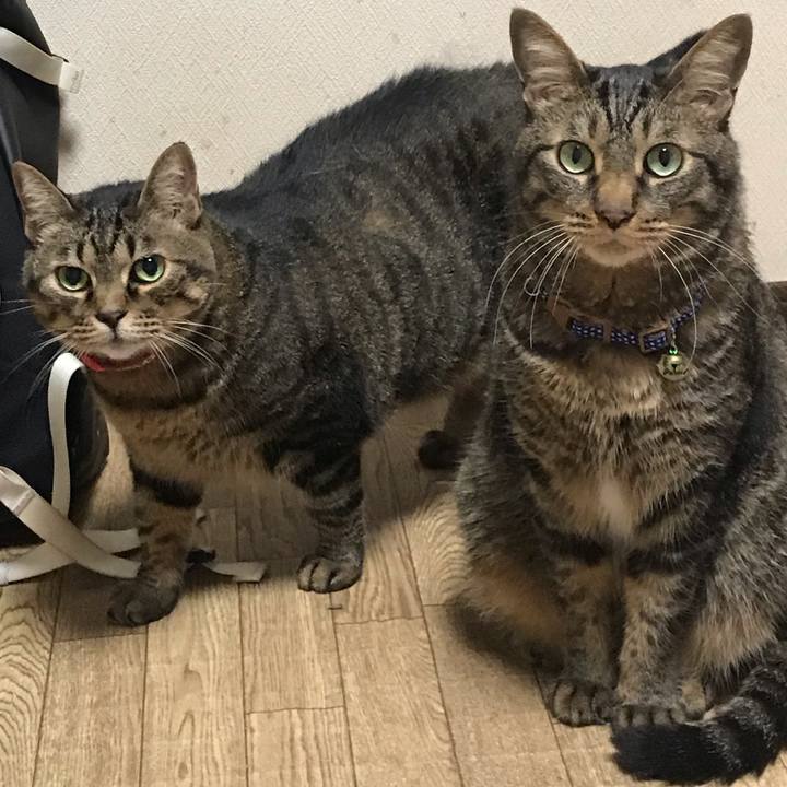 26ae0734 dbb5 4ae7 8867 d74544b20b7d 1627734431943