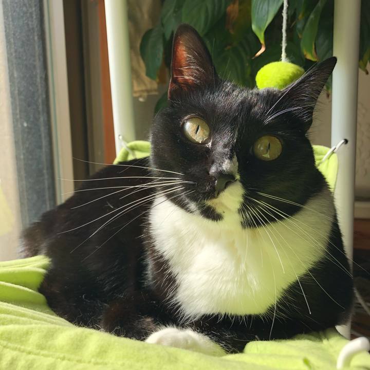 26ae2378 4969 4ecd bdc4 382761746fca 1520461557202