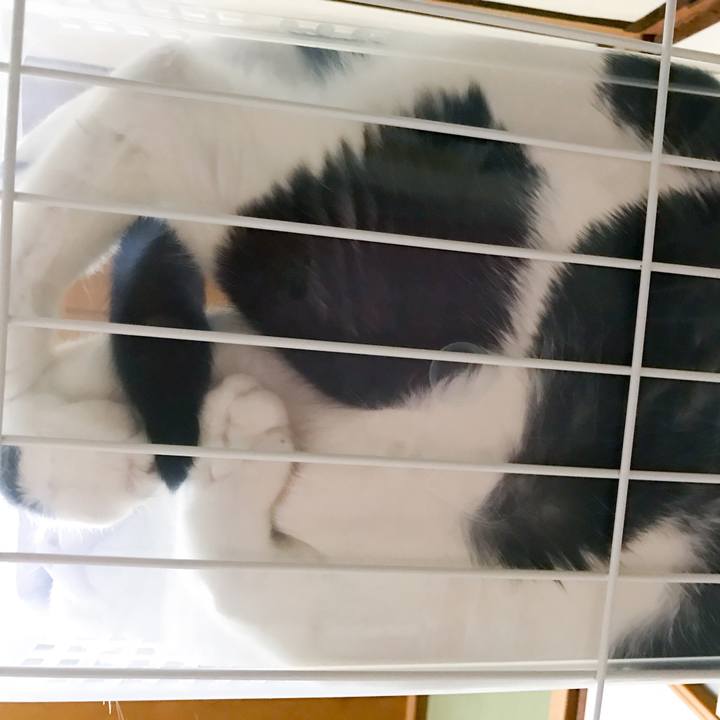 26ae2b6c ef9c 4ae5 8c1d 898e9620e6bb 1515909058062