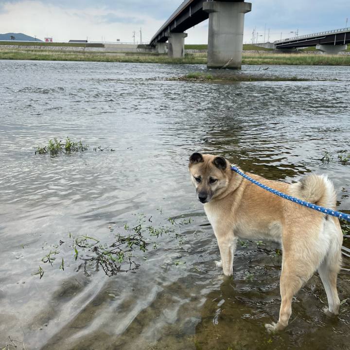 26ae48d0 c9d8 4e4b 909a 2a46776ba54a 1651406706754