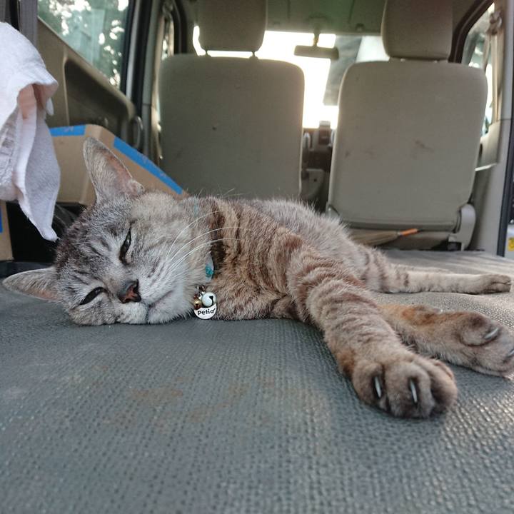 26ae4d09 f46c 4524 a9b1 56427b702b51 1564048572557