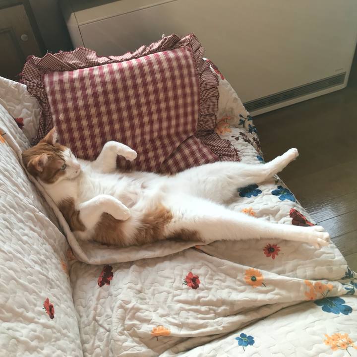 26ae55fb ed27 407a bf60 e4a3f3551f61 1542060795002