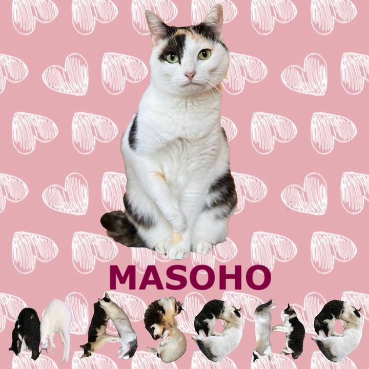 26ae5bdb b071 4fc1 bd0b 6c655e42d73f 1668939424705