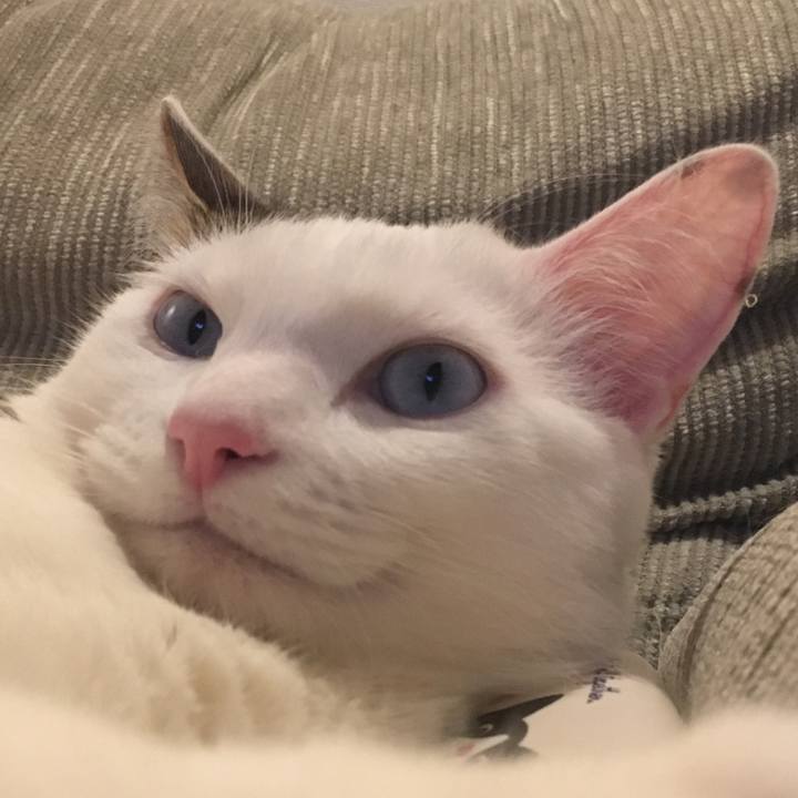 26ae7063 55e7 4ca9 9eb0 a1e7c601d6c7 1519483939632