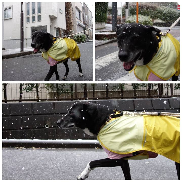 26ae7970 6803 4992 9ae6 a7fa6ecb90db 1742341878833