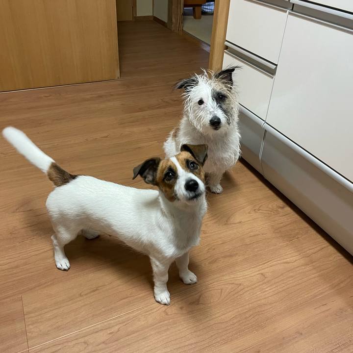 26ae8563 534f 40b7 96f2 643e266c1d98 1636500451683