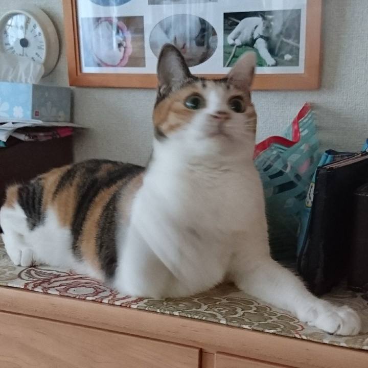 26ae9f80 6841 4664 b71e c90338810960 1517639976136