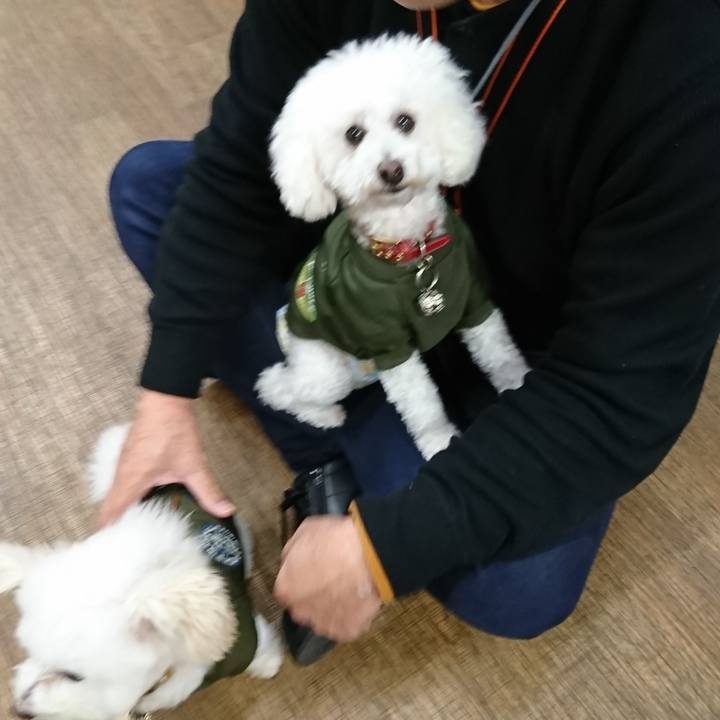 26aea902 d20f 424b a9d9 f5f2d9000df7 1574130180893