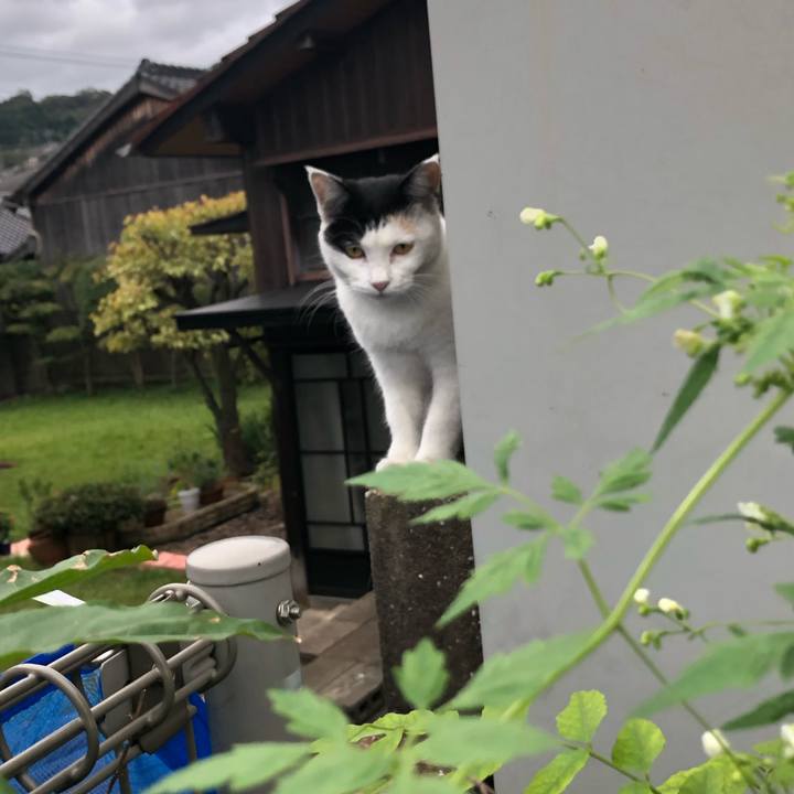 26af631f b781 48f6 a33d 572eea28d552 1602282499178