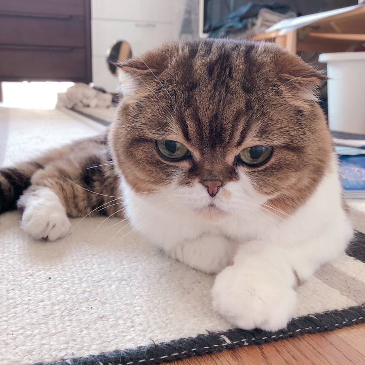 26af8d38 380f 4dc6 a7fc 51667b08a6ac 1557549910407