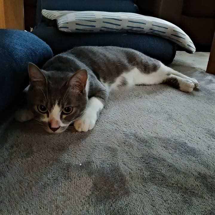 26af943b 6923 4fe1 969e 229ef2154507 1593298380531