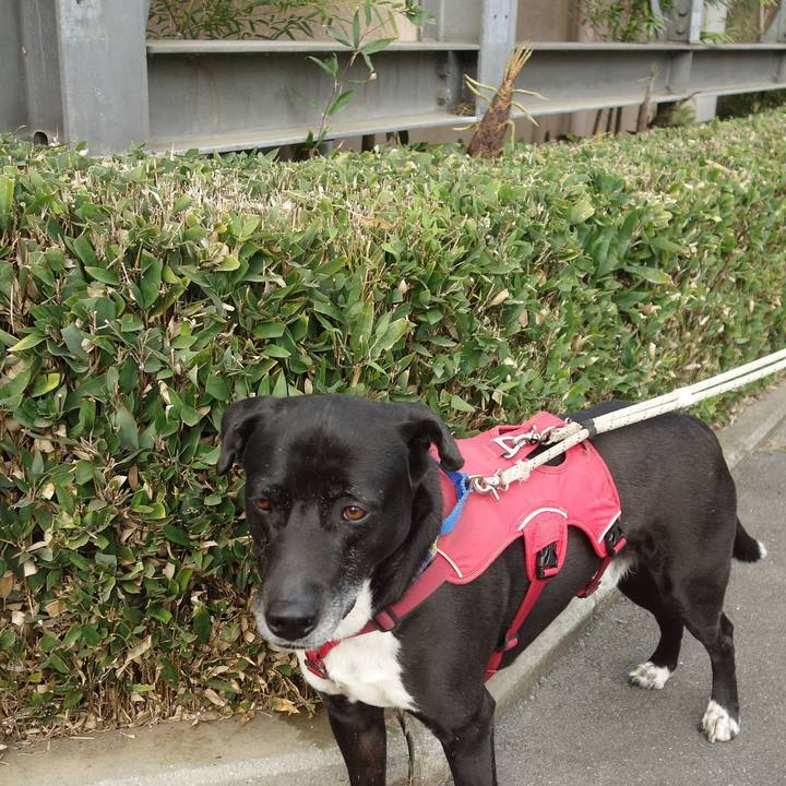 26afb5dc f5f7 4228 97ab 5b6cd925f40d 1682213687390