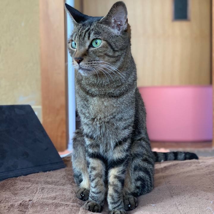 26b002ee 7c8a 4e1d ac67 dc694d4d7c50 1572832232403