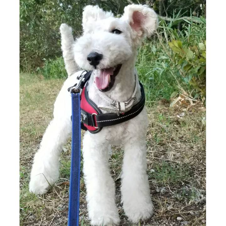 26b00814 f9ad 4bb3 862f 9df8503e32b4 1533802806368