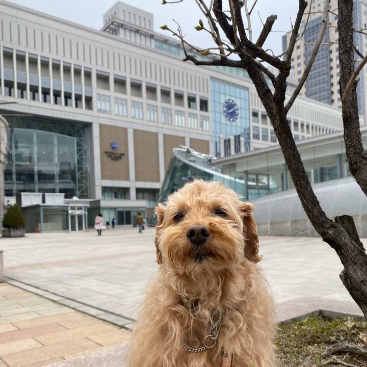 26b0102d 236d 4483 81e9 17dc20641ede 1649556706596