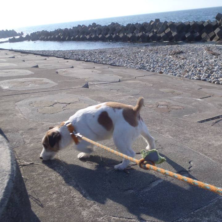 26b03a3f 3323 4314 83d2 21f2894277b6 1520681747630