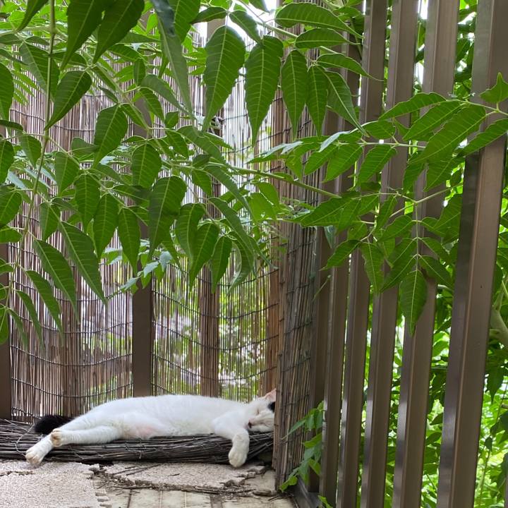 26b045e1 57f0 429c 8677 884197468d94 1724927346505