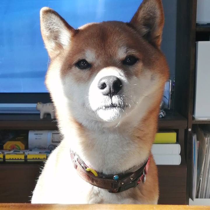 26b0b2c0 1b50 4382 84d7 8ad4089fe73c 1643678276560