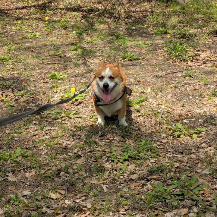 26b0bf82 be59 450b 9067 b51ecdc8cba1 1774924797082