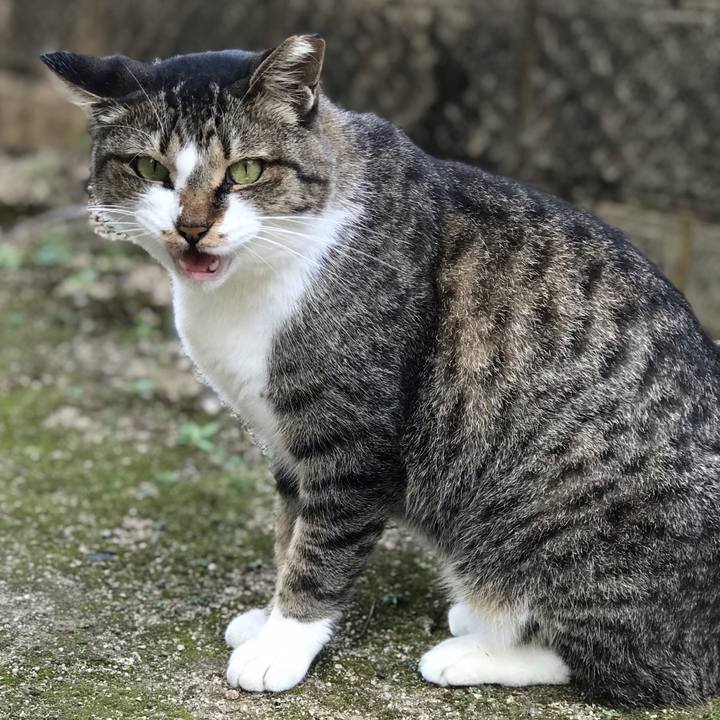 26b0ea83 f157 42ef 8c58 6b0accf1a586 1665801342063