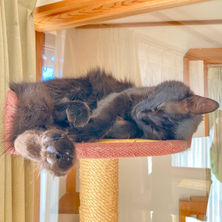 26b0f5de b99f 42a4 bb8c 58f13e780883 1736484547034