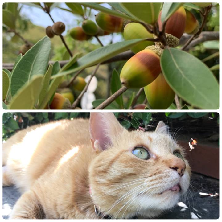 26b12000 8c0f 4f64 9c98 15372a9ab31d 1634032888780