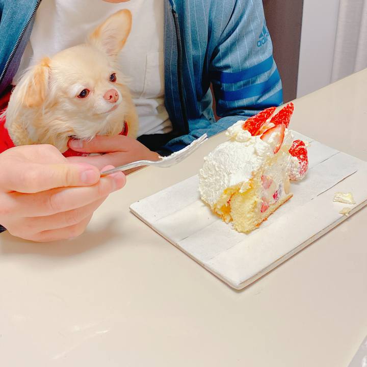 26b135f5 8d68 4262 ba13 6ad5ef3f5301 1640479644916