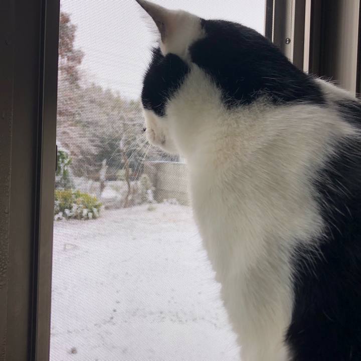 26b145c2 8479 4fb1 8e47 ea3a93a78f06 1549672960359