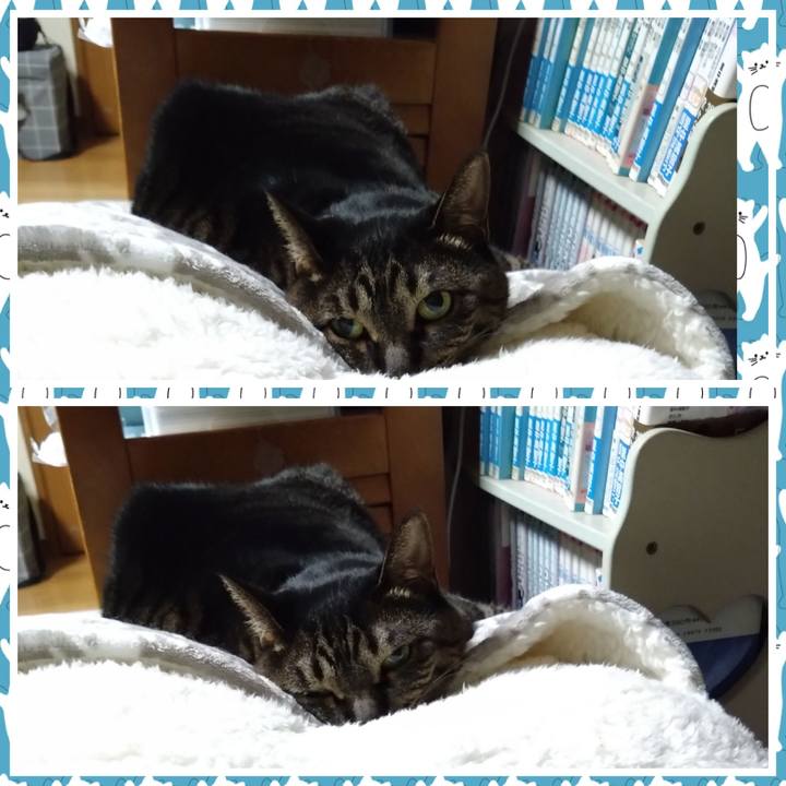 26b1604d a73c 4a10 8262 5678e5b9709c 1764162468740