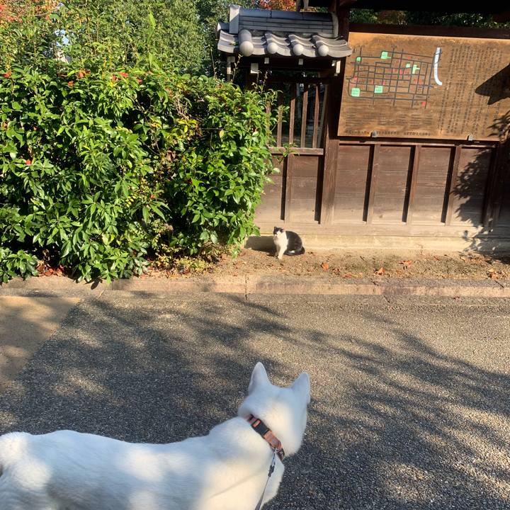 26b16f96 bb6f 43ec b967 7306535fde04 1541900760496