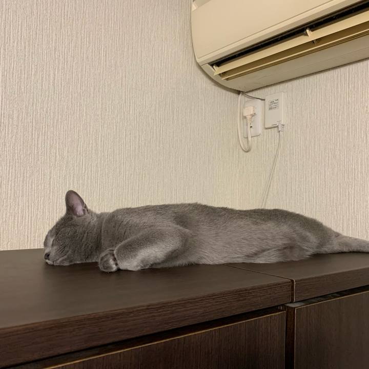 26b1c49c 4889 4a37 9ba0 ab8baad6a363 1579511582215