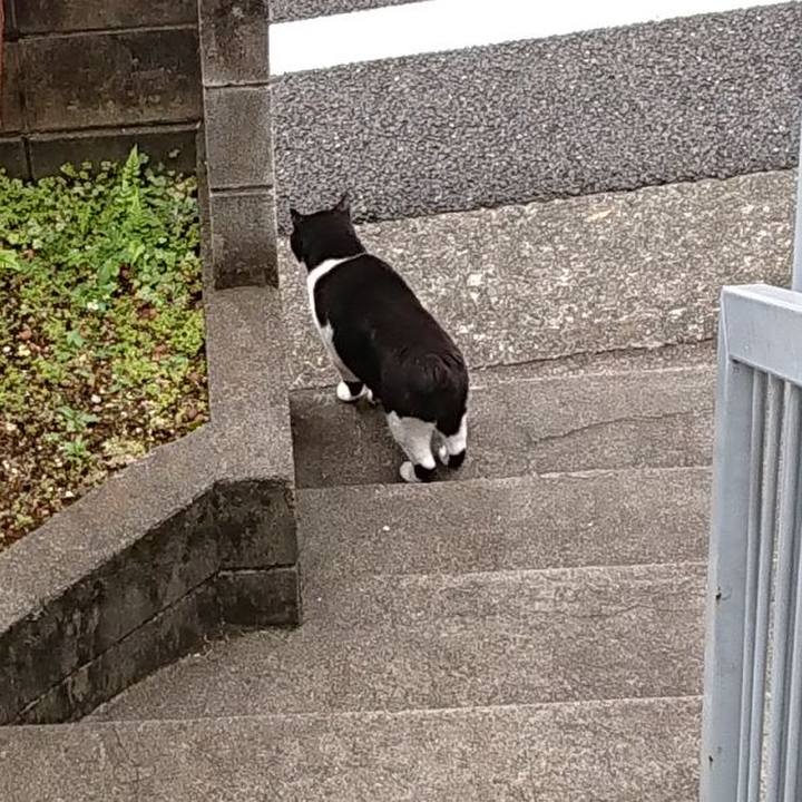 26b1d0d8 ca56 482b bd5d ee0af4a75fc0 1622334781410