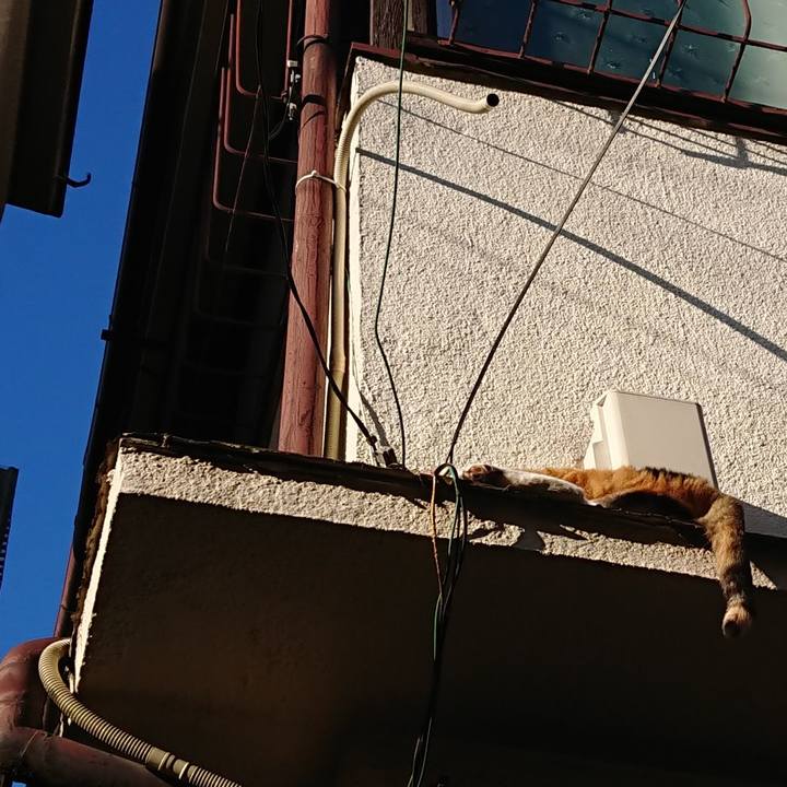 26b1d14b d8d1 4516 a9ad 809e9fa28a97 1628678834754