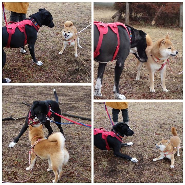 26b256bb cb37 446c b325 91727f6953a3 1611705209318