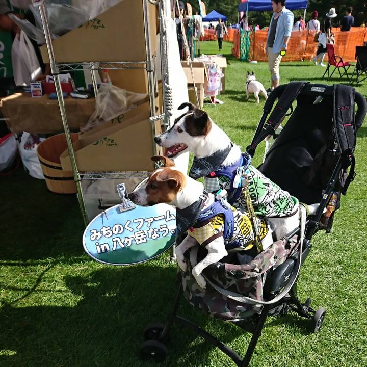 26b281c6 e5e1 467e 929d c94f43290d33 1537692195143