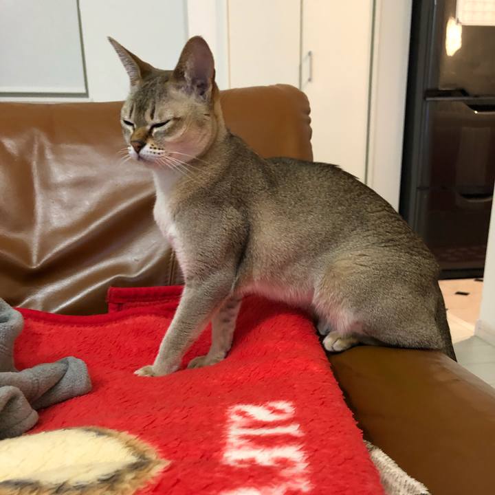 26b2ac71 2d44 4b0e 96df db6c949b19cc 1550143091324