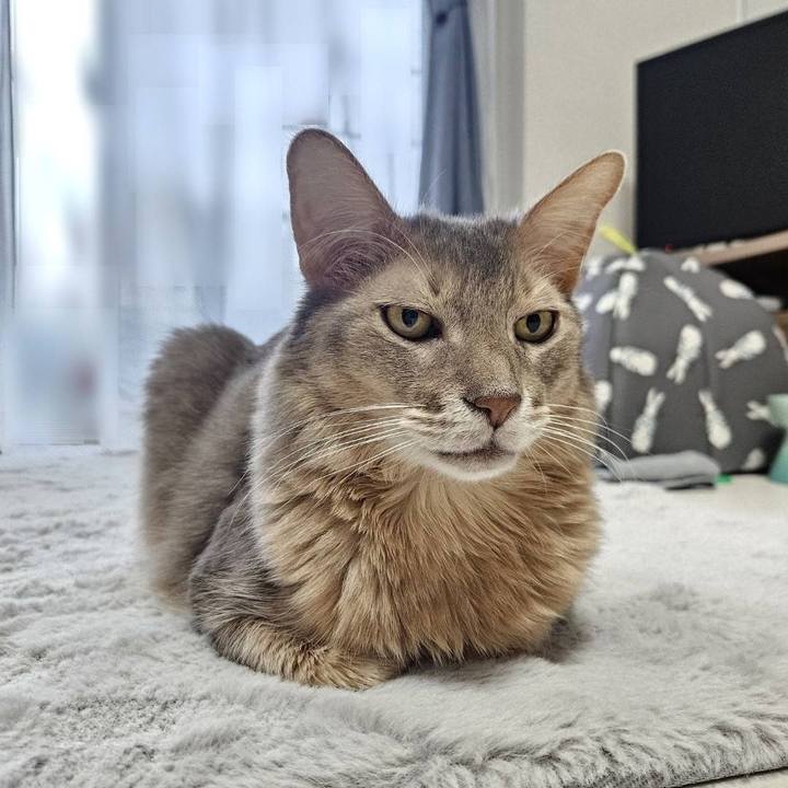 26b2ec52 d0b8 4c7a a69b 47eea33ad748 1736142279939