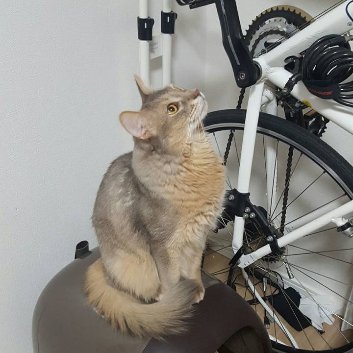 26b2f501 9764 4a63 9cec 02bc24d3109a 1548513383088