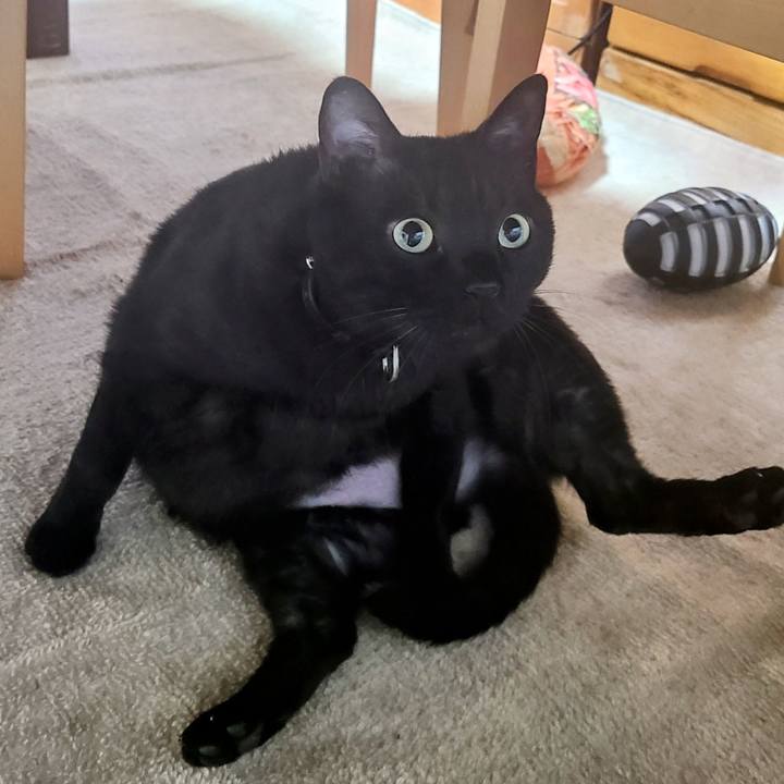 26b2f5c6 7bf0 4ce5 985b 5cac6cc0a899 1685343202671