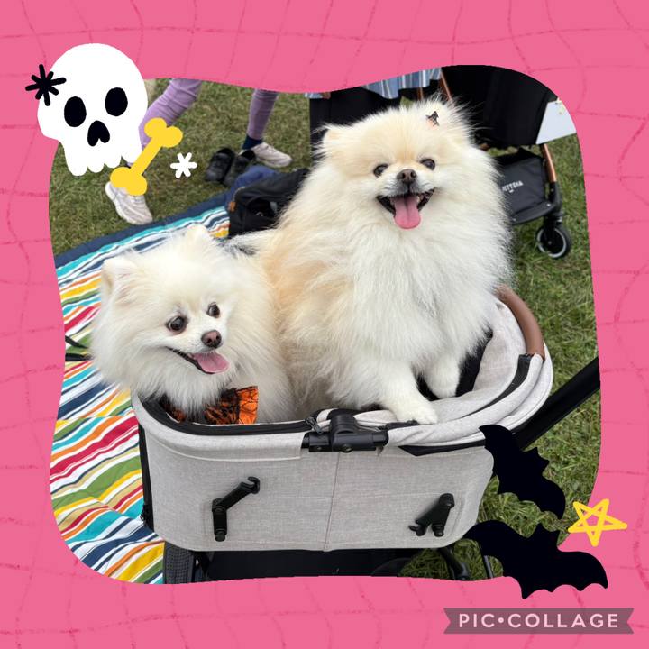 26b307b5 9d92 4d29 96b8 ab68a38f8f56 1760359523609