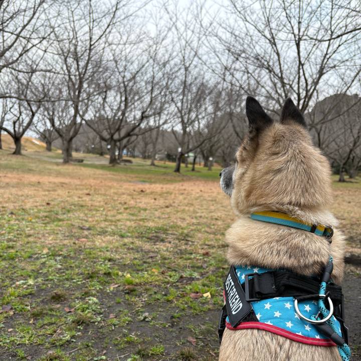 26b308d9 af7a 4a51 947d 26460554e19d 1766319518239