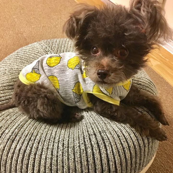 26b30ac5 9e8d 44fe 9eb2 7feedfab7bec 1523454603142