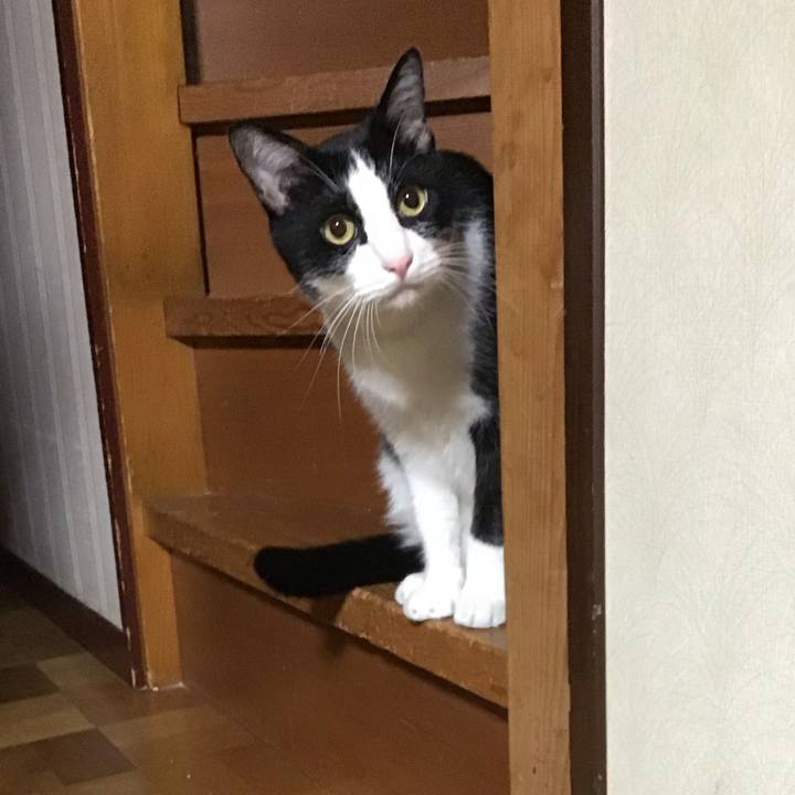 26b34de1 6820 4061 9511 9f96046a4cad 1695732378377