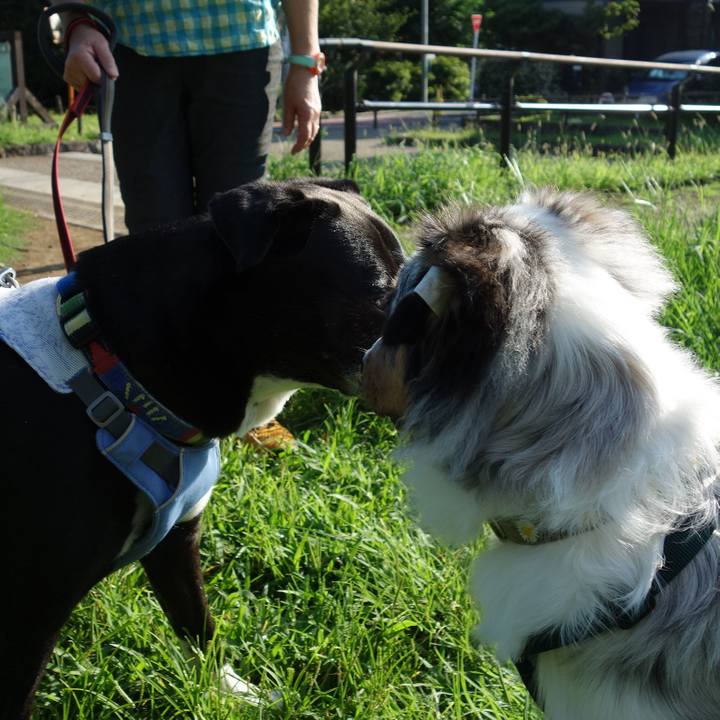 26b35e67 cfa6 414f a676 cd3cb1e1b086 1723331959327