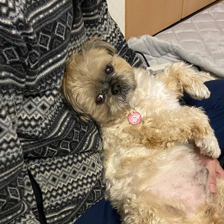 26b39c1f ea38 4189 b8a1 b29d69e00bbe 1586783695594