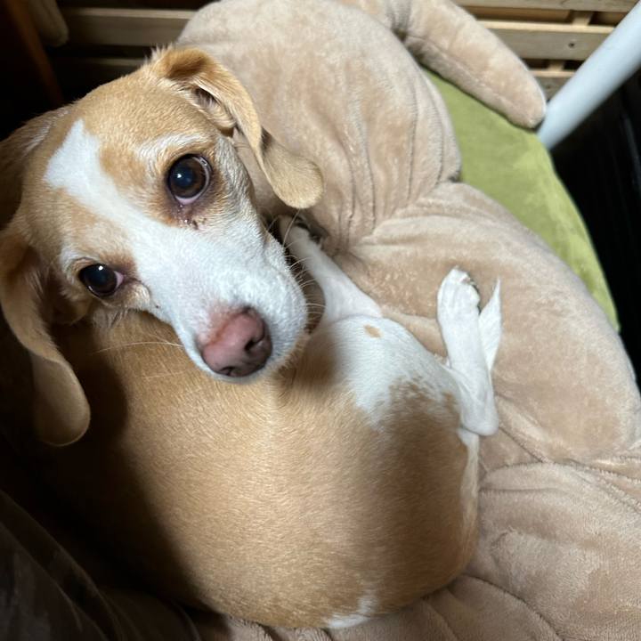 26b3a6a7 1b39 4dab 9d3b f0f757db6620 1673607842117