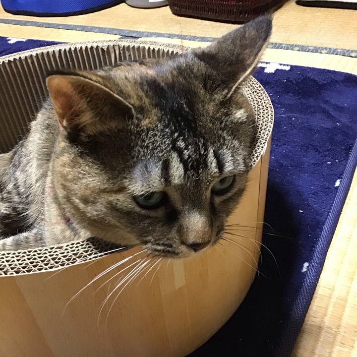 26b41066 4a2d 4977 ba57 5043c986daff 1738574514176