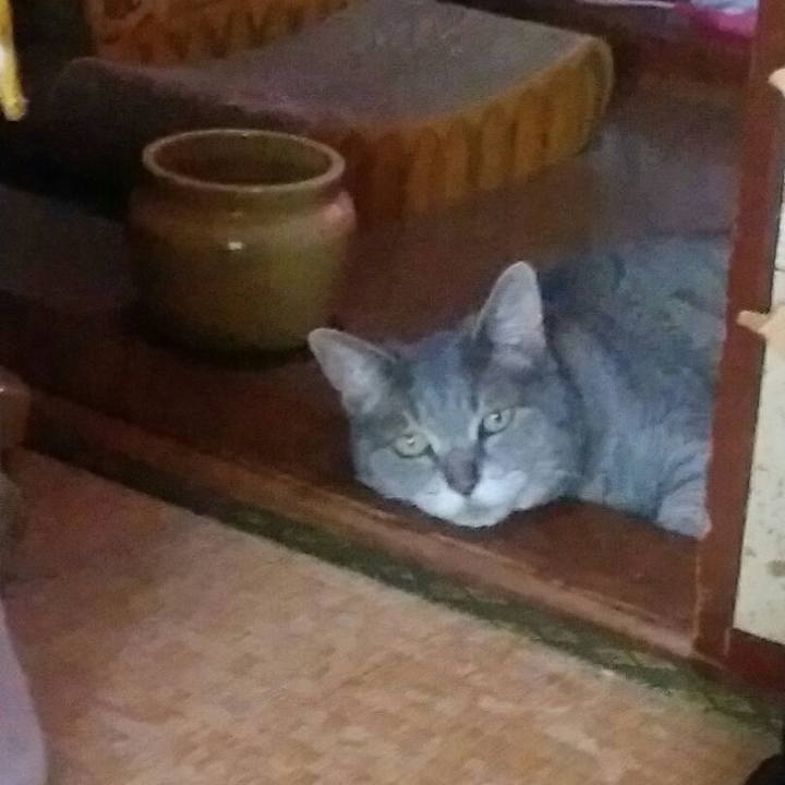 26b42ed7 bccc 4948 afec 6b300e8692c1 1592204481562