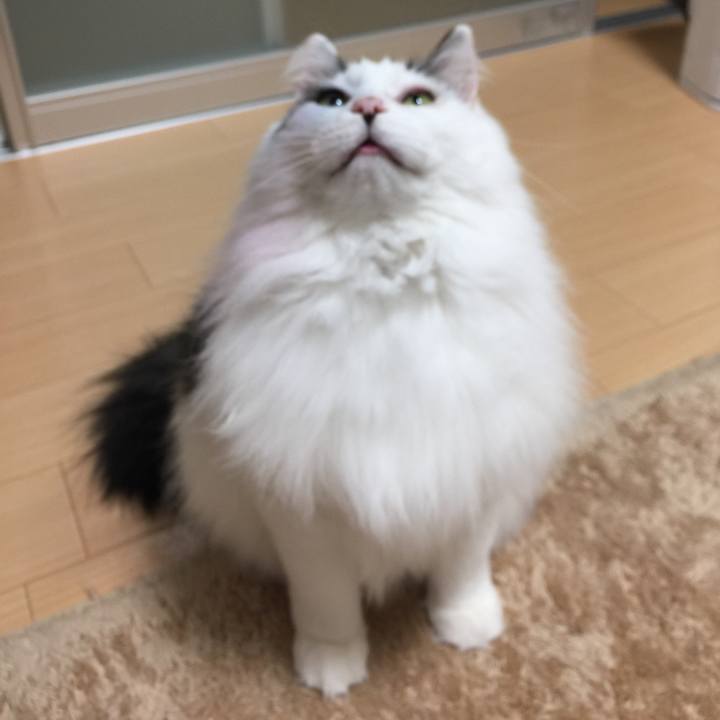 26b43e3a 3222 4eba a304 7bdd22954fea 1518700308703