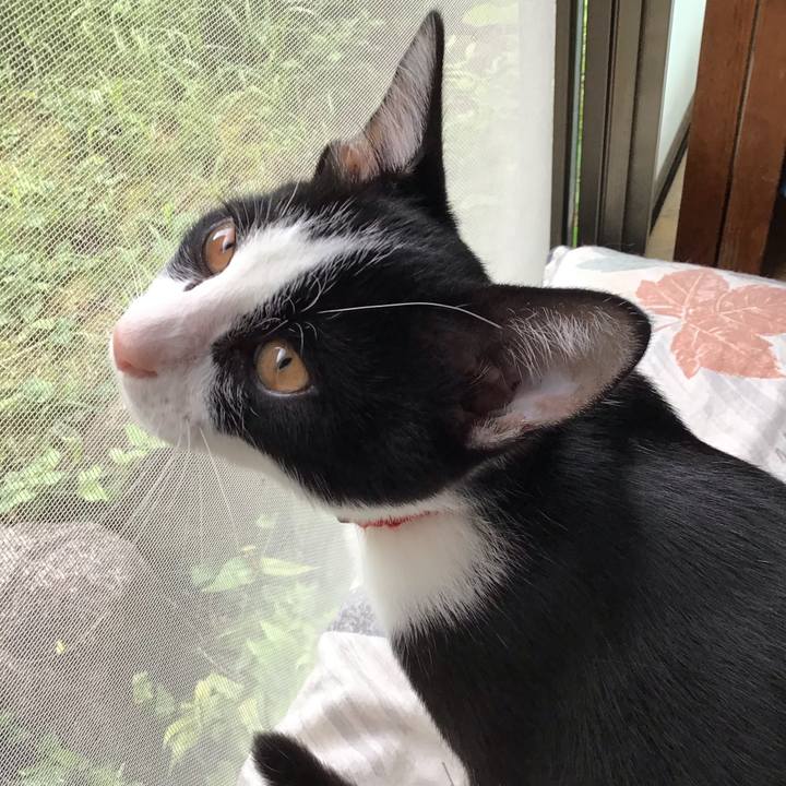 26b44e6c 592a 41f5 9b9b 74345344e1a4 1629097843938